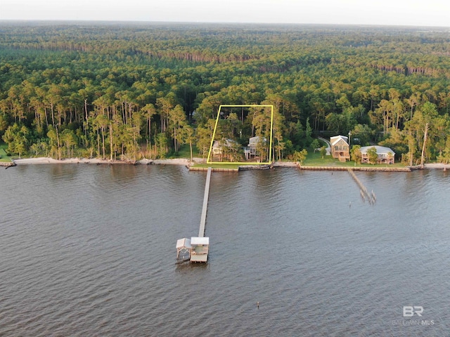 9397 S Bay Rd, Foley, AL 36535 - drone / aerial view featuring a water view and a forest view