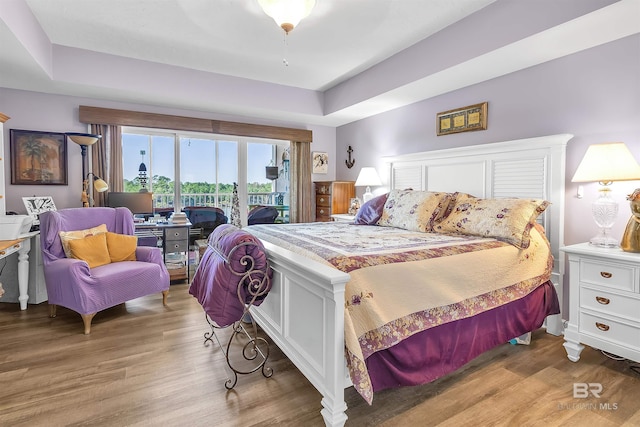 bedroom featuring a tray ceiling, access to exterior, and light wood finished floors