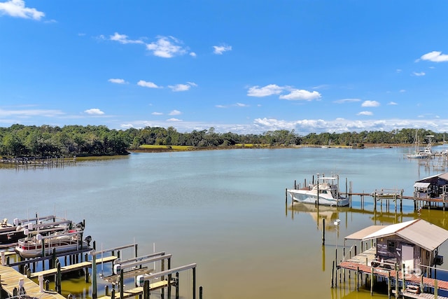 view of dock featuring boat lift and a water view