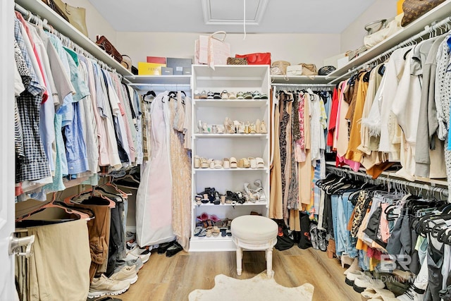 spacious closet featuring wood finished floors and attic access