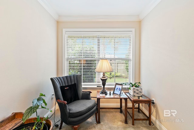 sitting room with carpet flooring and crown molding