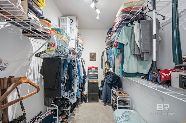 spacious closet with carpet