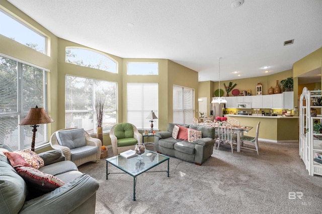 carpeted living room with a textured ceiling