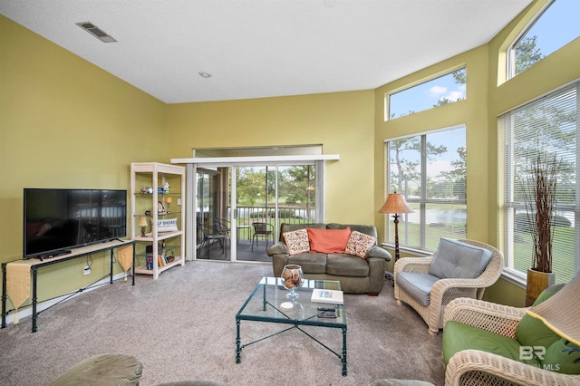 view of carpeted living room