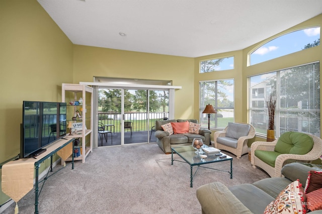 living room featuring light colored carpet