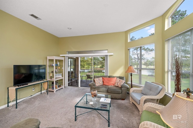 carpeted living room with a wealth of natural light