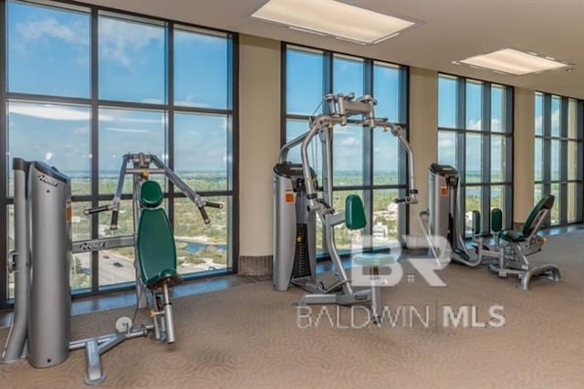 workout area featuring carpet flooring, a wealth of natural light, and a wall of windows