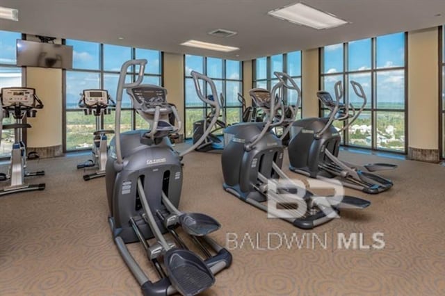 gym with carpet flooring and a wall of windows