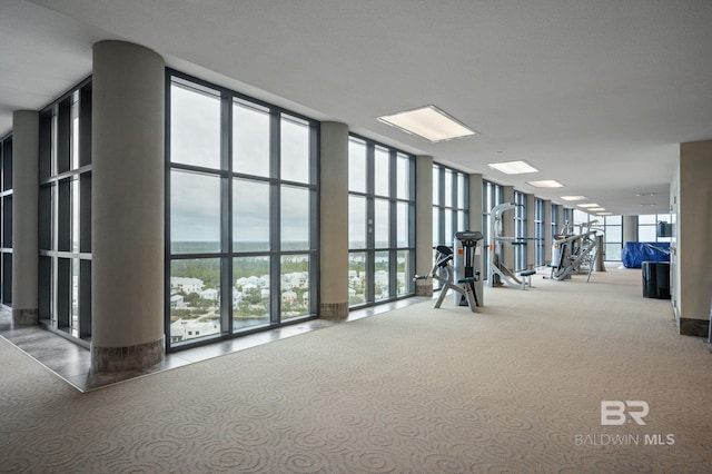 gym featuring carpet floors and a wall of windows