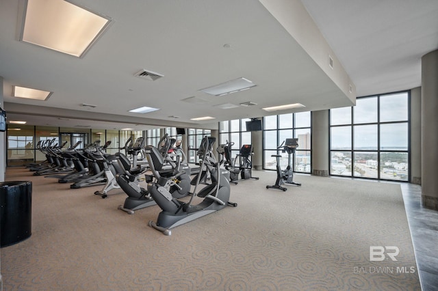 workout area with a wall of windows and plenty of natural light