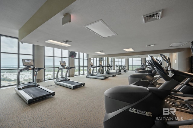 workout area featuring floor to ceiling windows, carpet flooring, and a textured ceiling