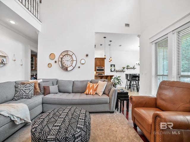 living room featuring hardwood / wood-style flooring and a towering ceiling