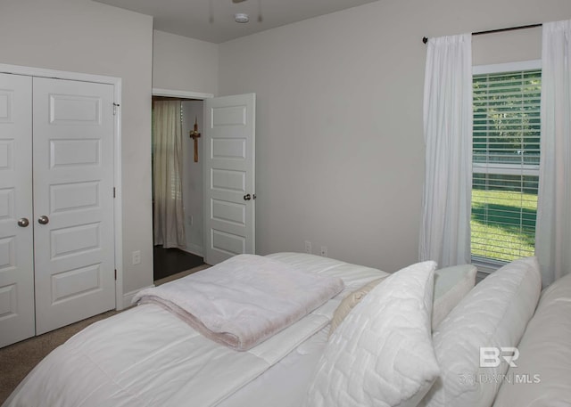 bedroom featuring carpet flooring and multiple windows