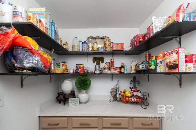 view of pantry