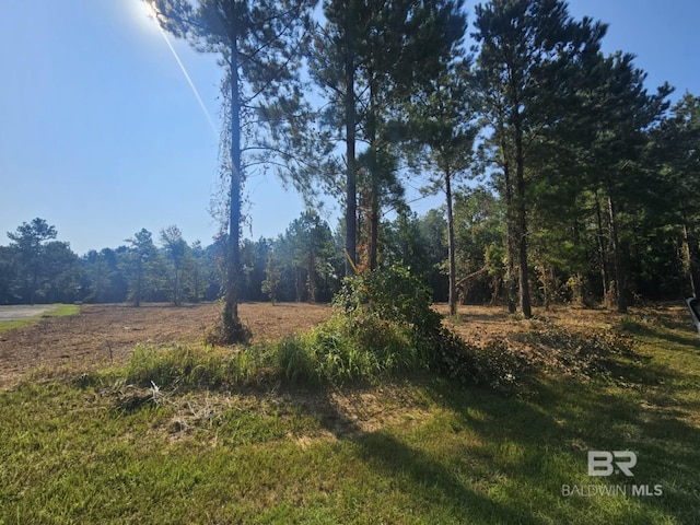 Listing photo 3 for 0 Taylor Still Rd, Robertsdale AL 36567