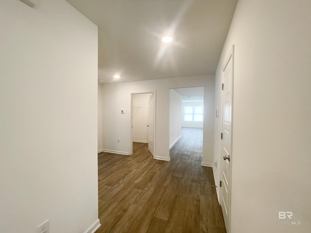 corridor with dark hardwood / wood-style flooring