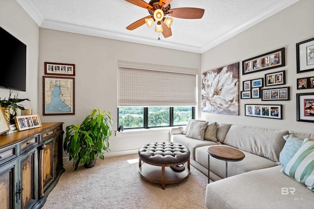 living area with ceiling fan, carpet, ornamental molding, and a textured ceiling
