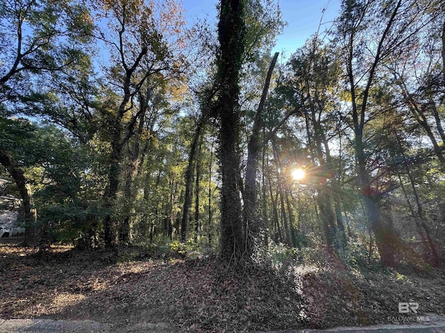 0 J V Cummings Dr, Fairhope, AL 36532