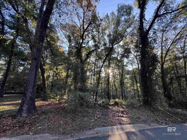 0 J V Cummings Dr, Fairhope, AL 36532