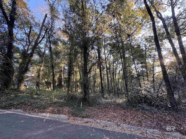 0 J V Cummings Dr, Fairhope, AL 36532