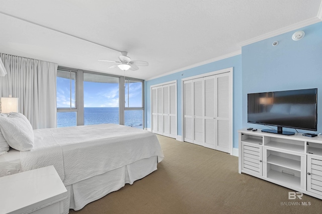 bedroom featuring multiple closets, carpet flooring, crown molding, and ceiling fan