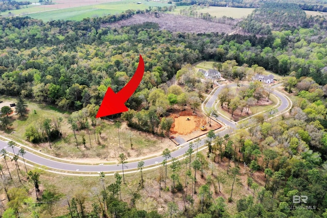 221 Mount Pleasant Blvd, Fairhope, AL 36532
