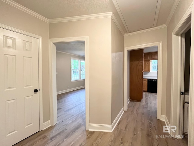 hallway with baseboards, attic access, light wood finished floors, and ornamental molding