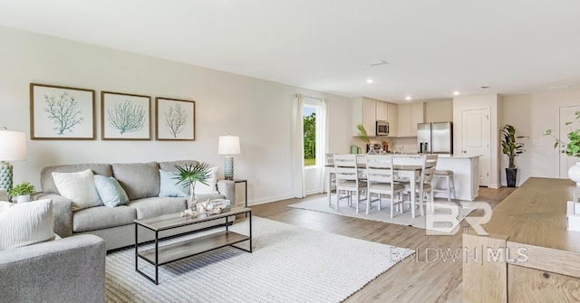 living room featuring light hardwood / wood-style flooring