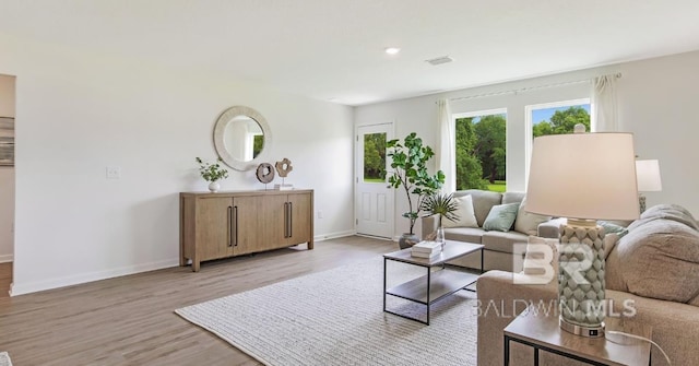 living room featuring light hardwood / wood-style floors