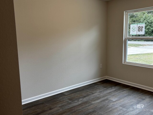 13710 Logan Pl, Foley, AL 36535 - spare room featuring dark wood-style flooring, plenty of natural light, and baseboards