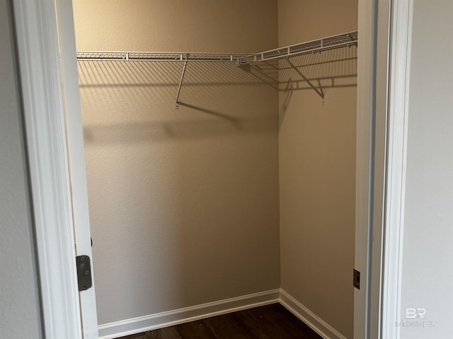 13710 Logan Pl, Foley, AL 36535 - walk in closet with dark wood-type flooring