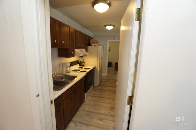 kitchen with exhaust hood, light countertops, electric range oven, a sink, and light wood-type flooring