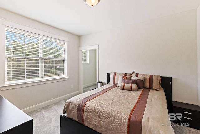 bedroom with carpet floors