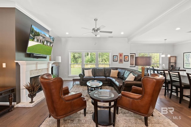 living room with a fireplace, a wealth of natural light, and hardwood / wood-style flooring