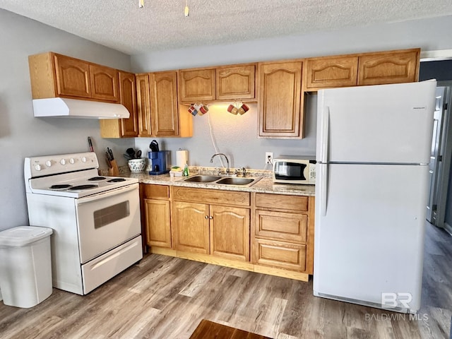 kitchen with under cabinet range hood, white appliances, wood finished floors, a sink, and light countertops