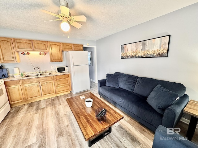 living room with ceiling fan, a textured ceiling, and light wood finished floors