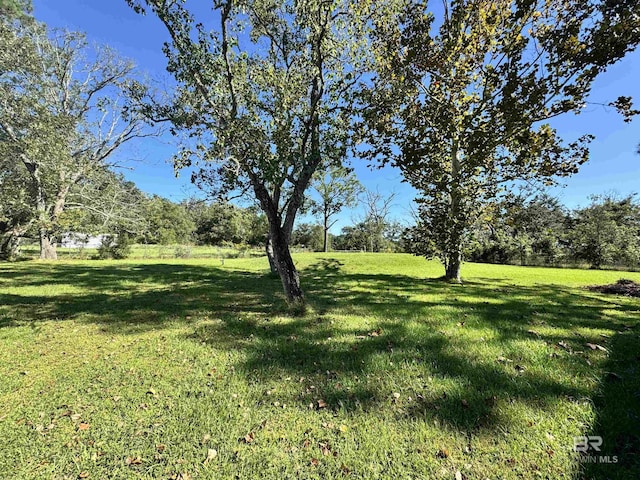 14313 Hemley Rd, Coden, AL 36523 - view of green lawn