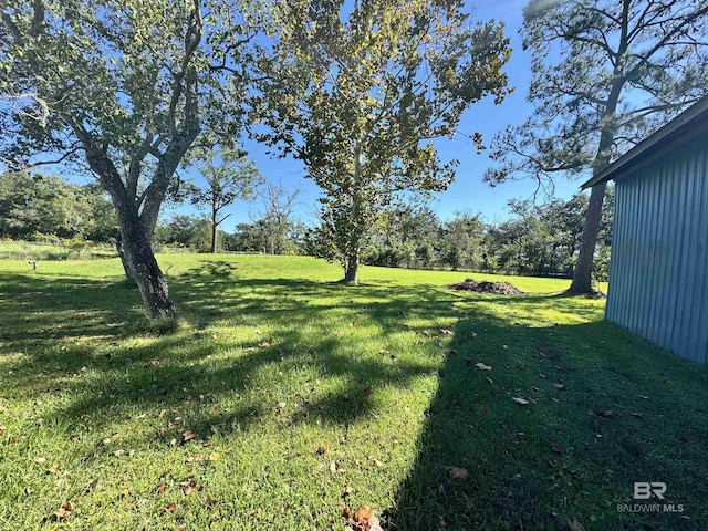 14313 Hemley Rd, Coden, AL 36523 - view of green lawn