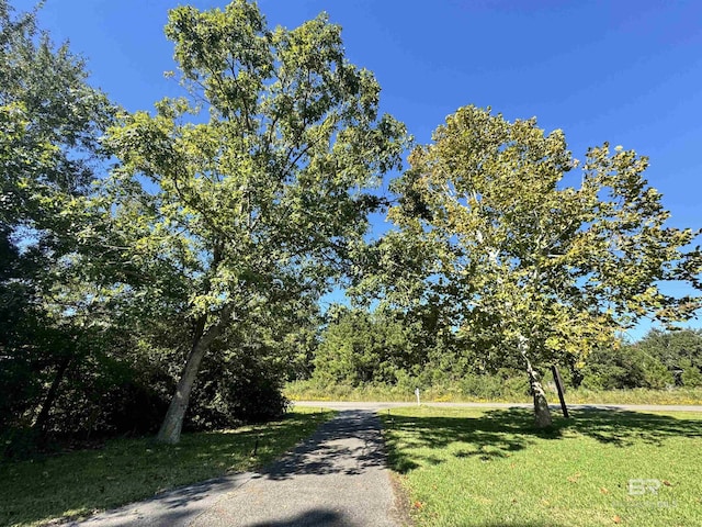 14313 Hemley Rd, Coden, AL 36523 - view of road