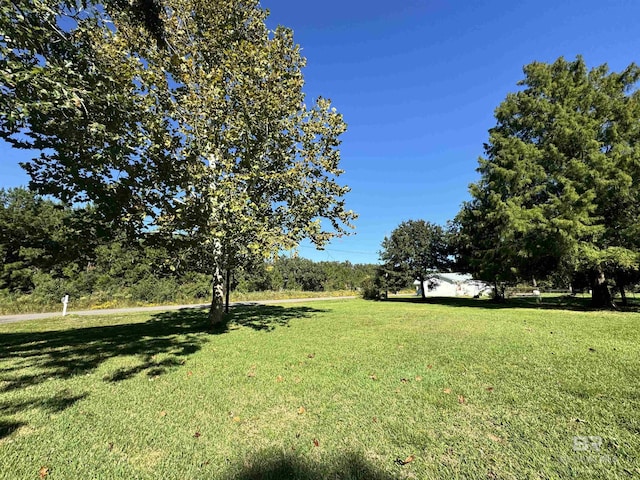 14313 Hemley Rd, Coden, AL 36523 - view of grassy yard