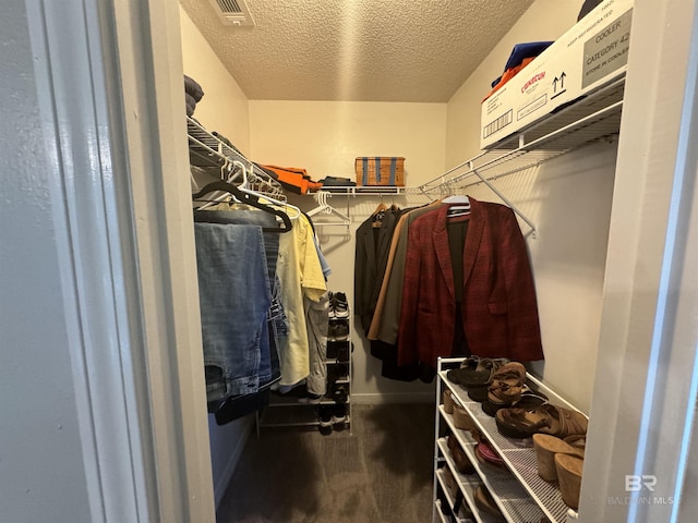 14313 Hemley Rd, Coden, AL 36523 - walk in closet featuring wood finished floors
