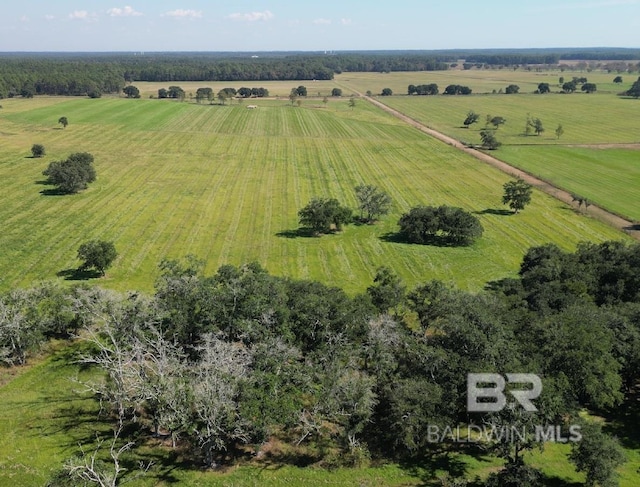 14313 Hemley Rd, Coden, AL 36523 - aerial view of sparsely populated area