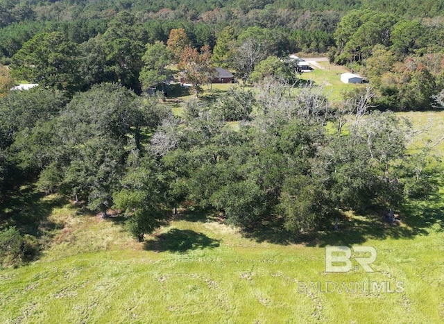 14313 Hemley Rd, Coden, AL 36523 - drone / aerial view of a heavily wooded area
