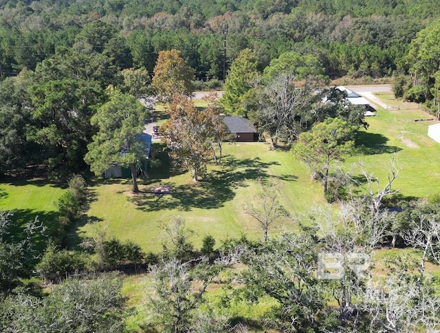 14313 Hemley Rd, Coden, AL 36523 - aerial overview of property's location featuring a heavily wooded area