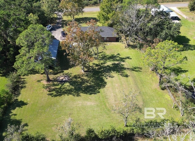 14313 Hemley Rd, Coden, AL 36523 - view of subject property