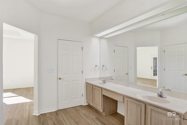 bathroom with vanity and wood-type flooring