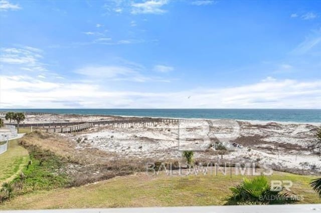 water view featuring a beach view