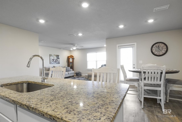 kitchen featuring visible vents, light stone counters, wood finished floors, white cabinetry, and a sink