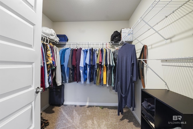 spacious closet with carpet