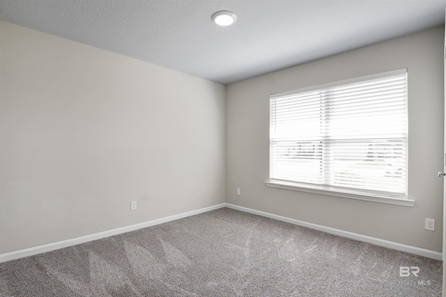 spare room with carpet, baseboards, and a textured ceiling